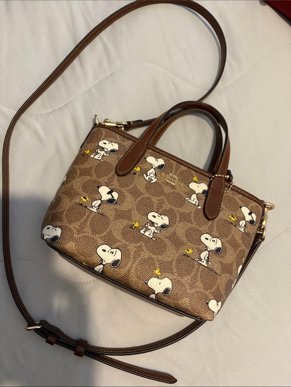 Coach x Peanuts Brown Signature Canvas Mini tote